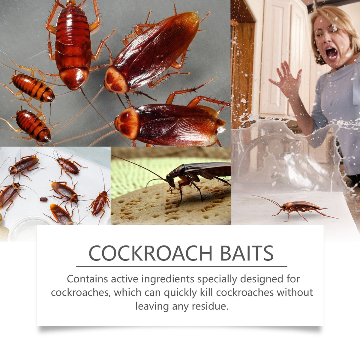 Cockroach Bait Discs for Targeted Kitchen Pest Control