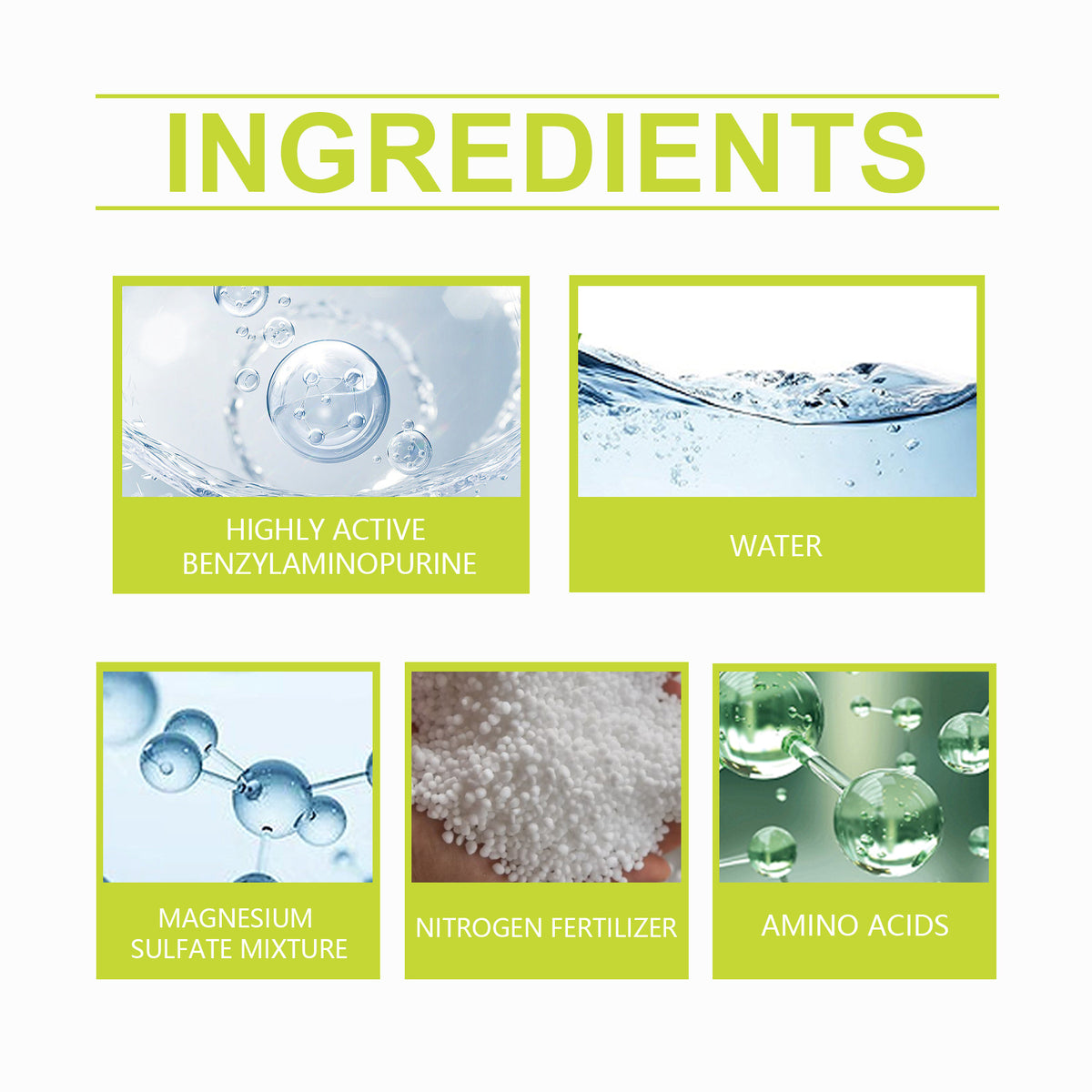 Liquid Plant Fertilizer for Greener, Stronger Growth