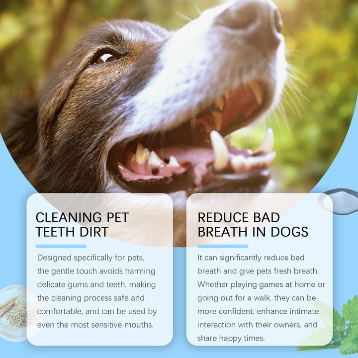 Pet Toothbrush Pen for Gentle Teeth & Fresh Breath