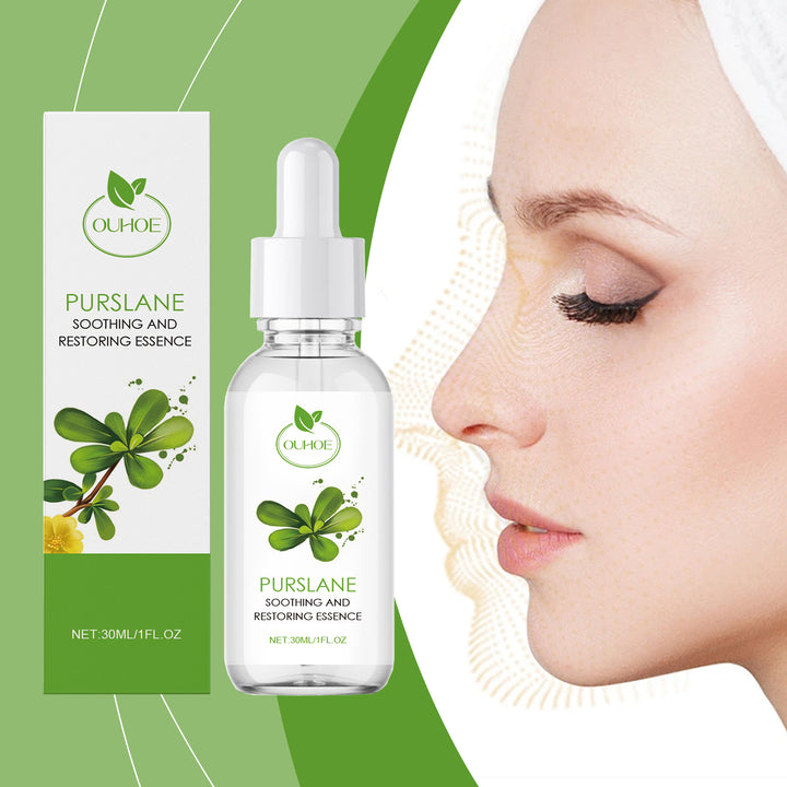 Purslane Soothing Repair Serum for Redness-Prone Skin Care