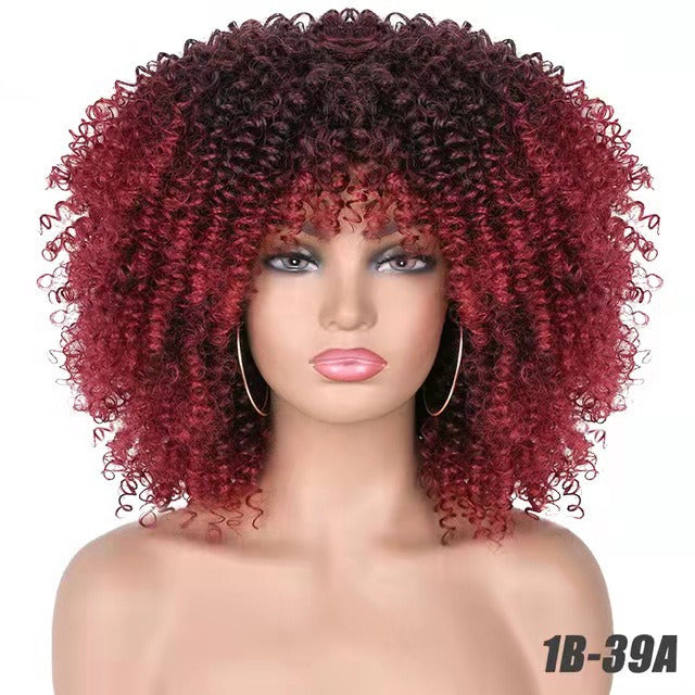 Small Curly Afro Wig for Instant Full-Volume Styling