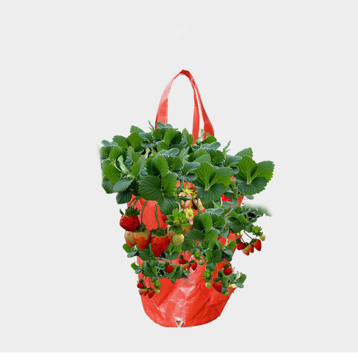 Hanging Strawberry Grow Bag with Side Planting Pockets
