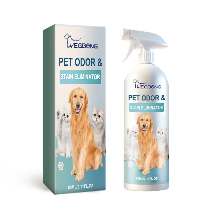 Pet Odor & Stain Eliminator for Fresh, Calm Indoor Homes