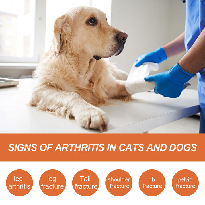 Pet Joint Care Spray for Dogs & Cats Mobility Support