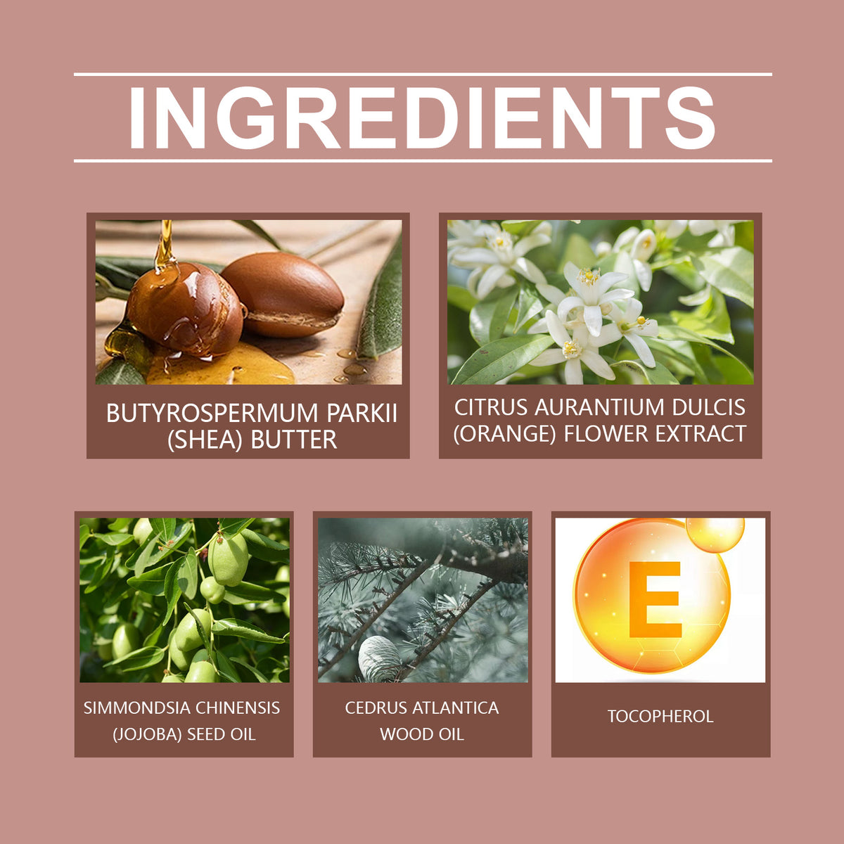 Body Moisturizer With Long-Lasting Elegant Fragrance