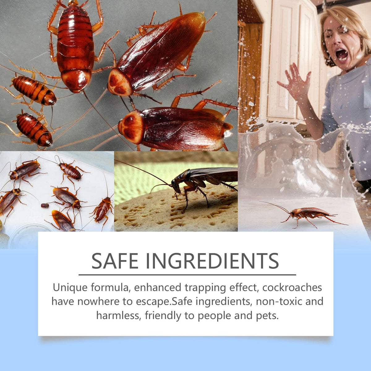 Cockroach Bait Stations for Easy Home Pest Control