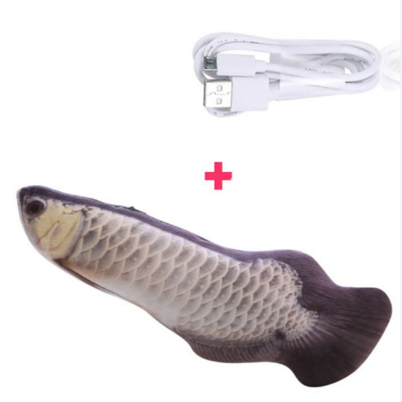 Interactive Fish Cat Toy for Indoor Play & Enrichment