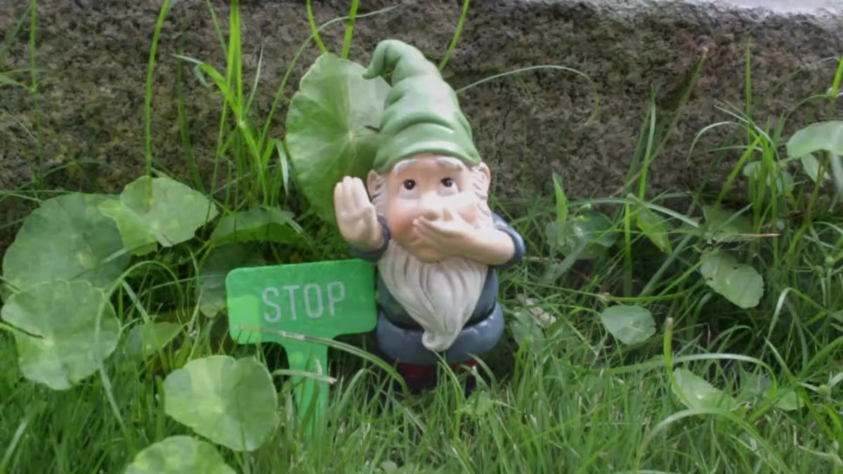 Hush Garden Gnome with STOP Sign Plant Stake