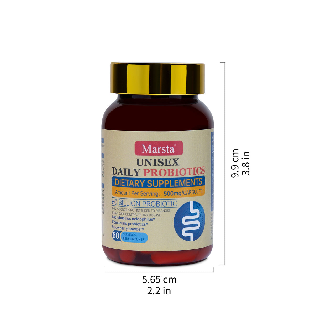 Daily Probiotic for Men & Women — 60B CFU 10 Strains