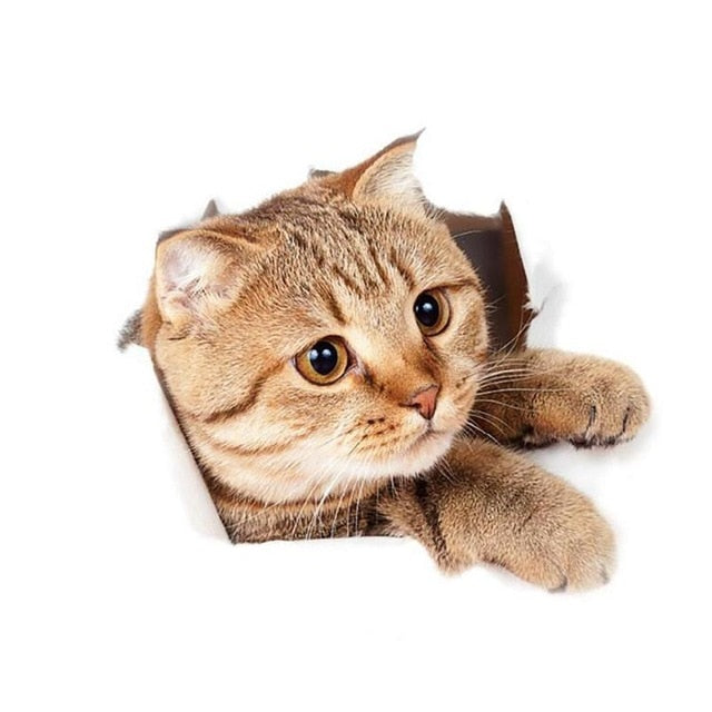 3D Cat Wall Sticker – Removable Trompe L'oeil Decal