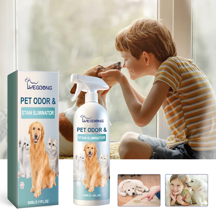 Pet Odor & Stain Eliminator for Fresh, Calm Indoor Homes