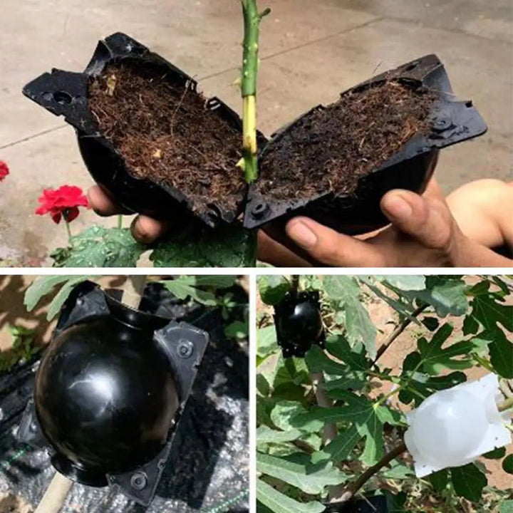 Plant Rooting Ball Kit for Air Layering Branches