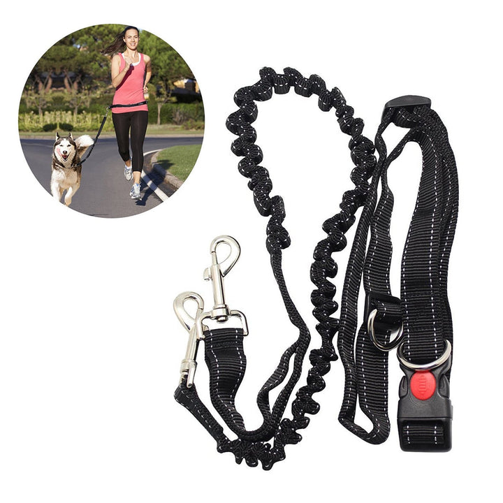 Hands-Free Dog Leash for Running, Walking & Jogging