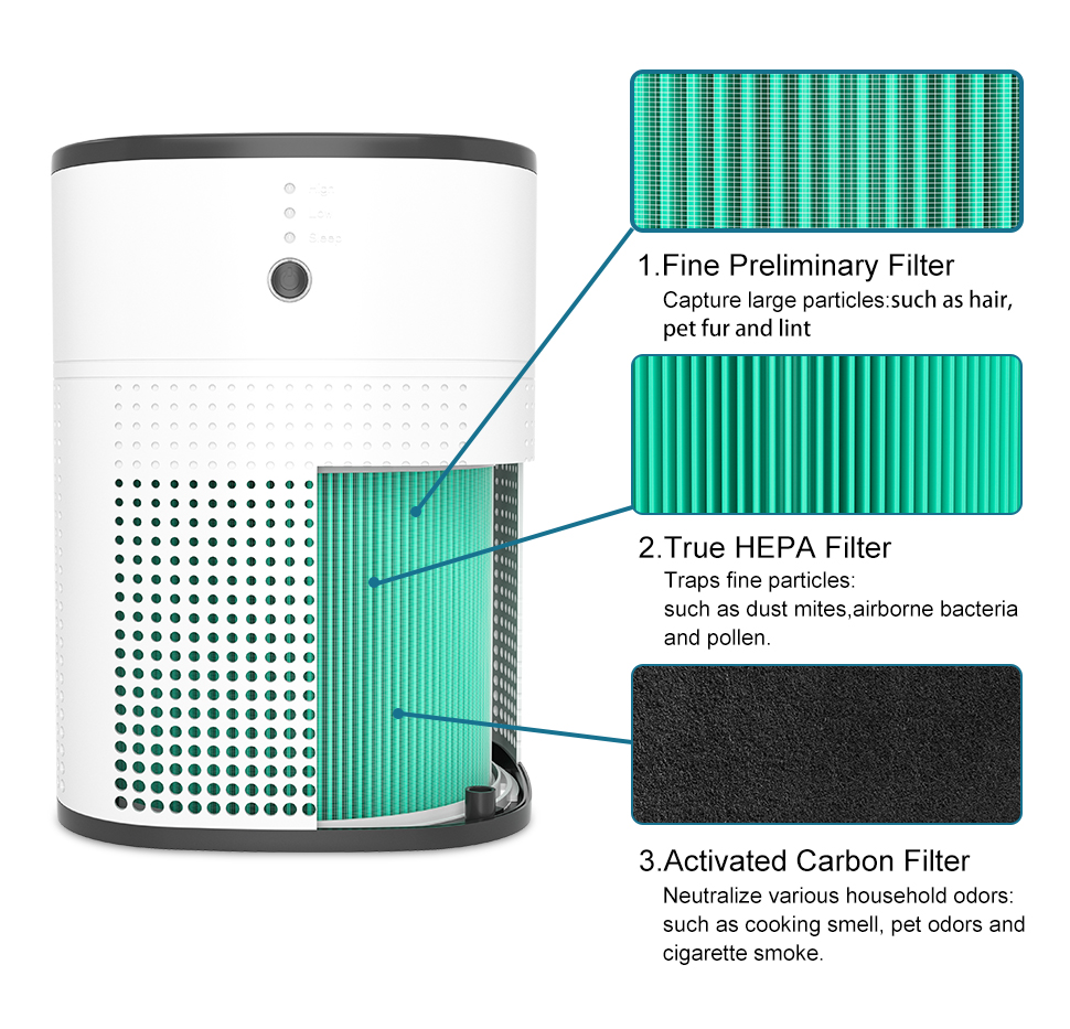 Desktop Air Purifier for Dust, Smoke & Household Odors