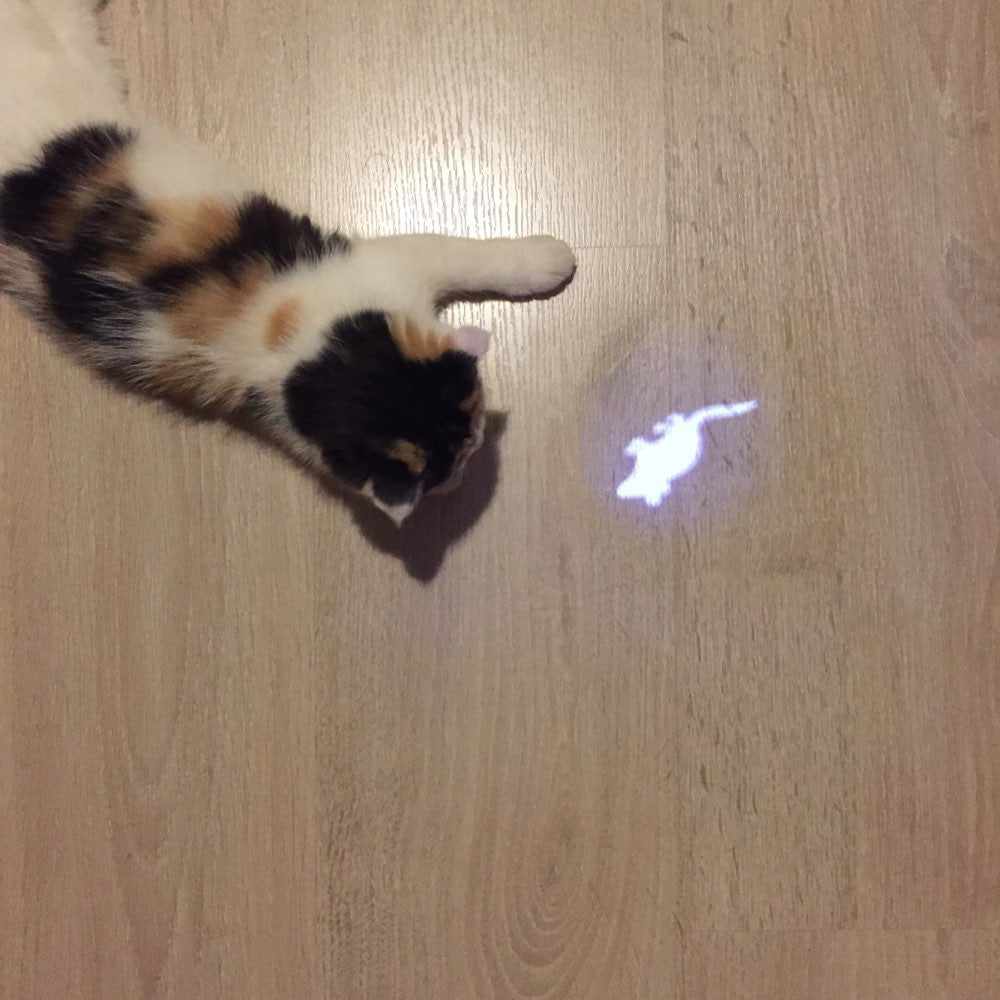 LED Cat Laser Pointer Pen with Mouse-Shaped Light