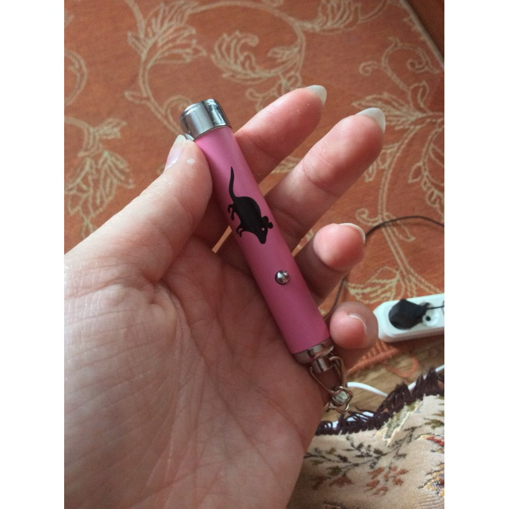 LED Cat Laser Pointer Pen with Mouse-Shaped Light