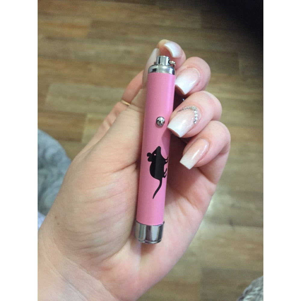 LED Cat Laser Pointer Pen with Mouse-Shaped Light