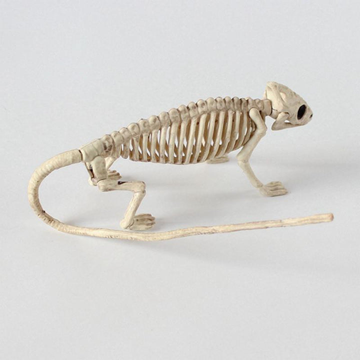 Animal Skeleton Models for Dramatic Halloween Decor
