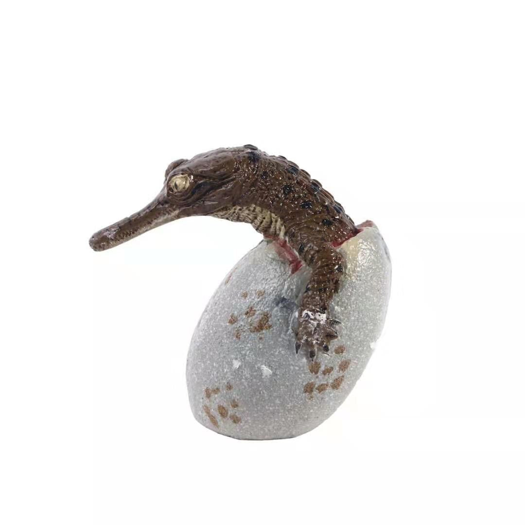 Dinosaur Skeleton Hatching Egg Fossil Display Decor