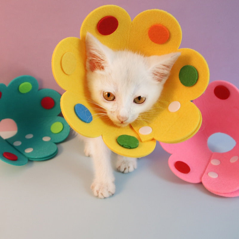 Pet Protective Collar for Wound & Lick Protection