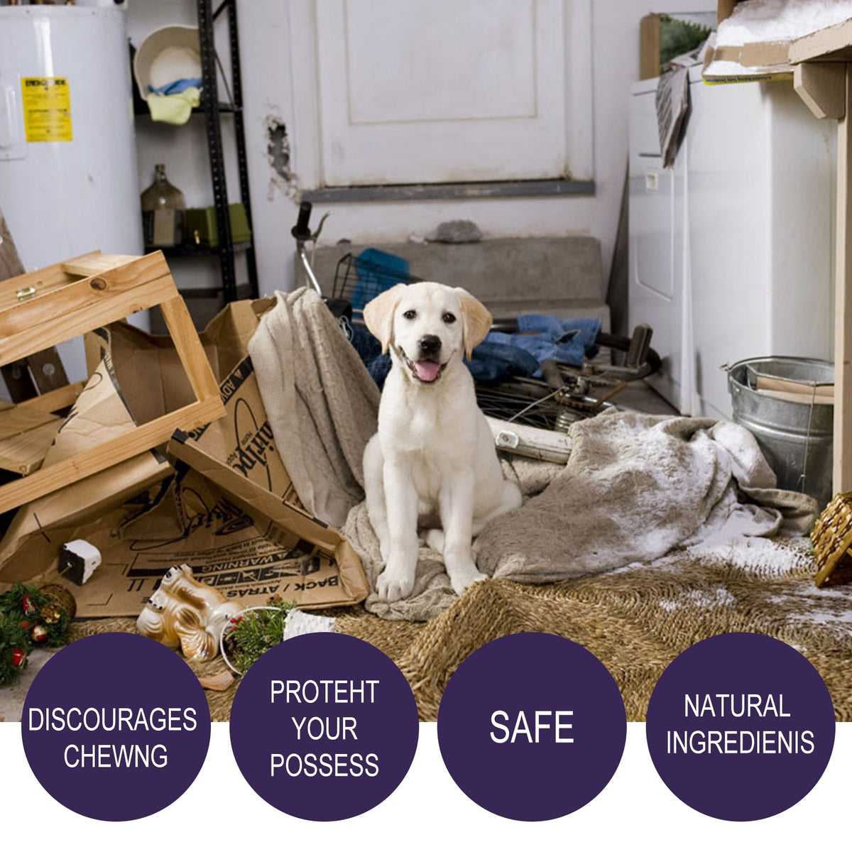 Pet Anti-Chew Bitter Spray for Dogs & Household Items