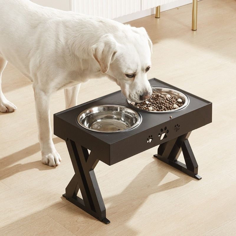 Elevated Double Dog Bowls for Tidy, Easy Feeding at Home