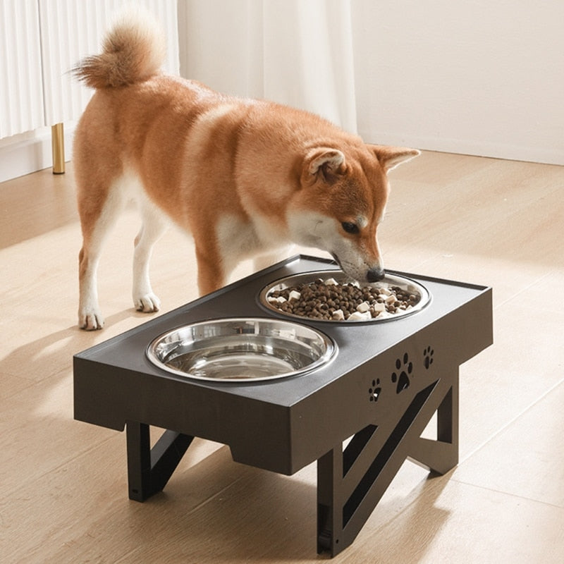 Elevated Double Dog Bowls for Tidy, Easy Feeding at Home