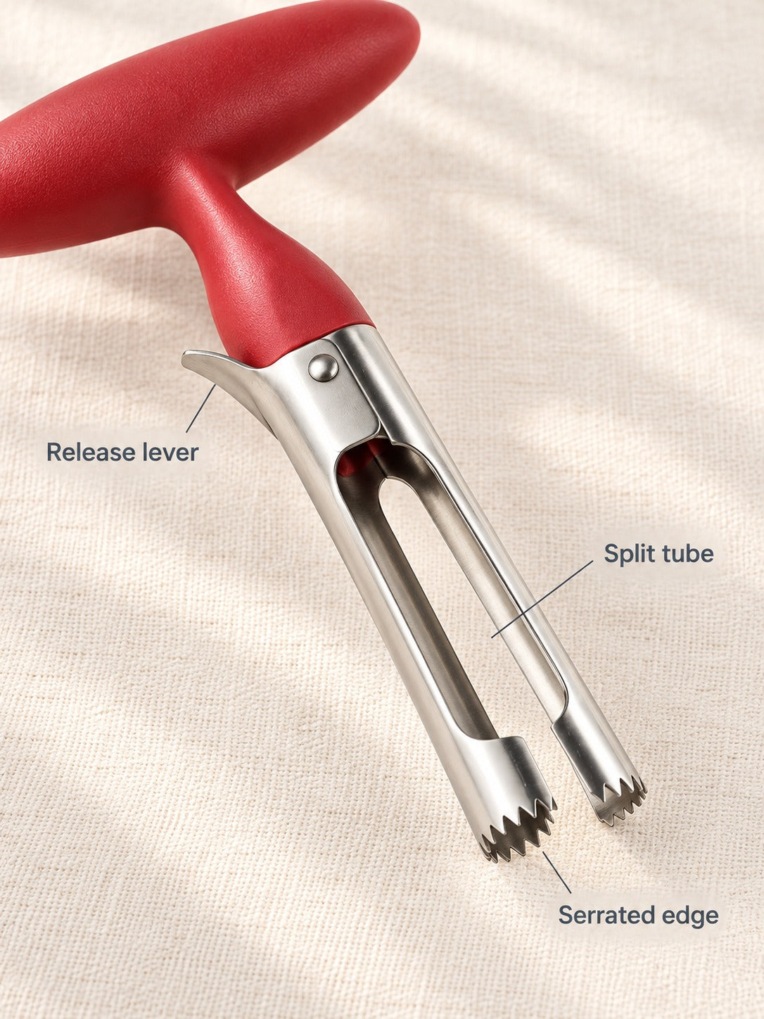 Stainless Steel Apple Corer That Removes Cores and Seeds