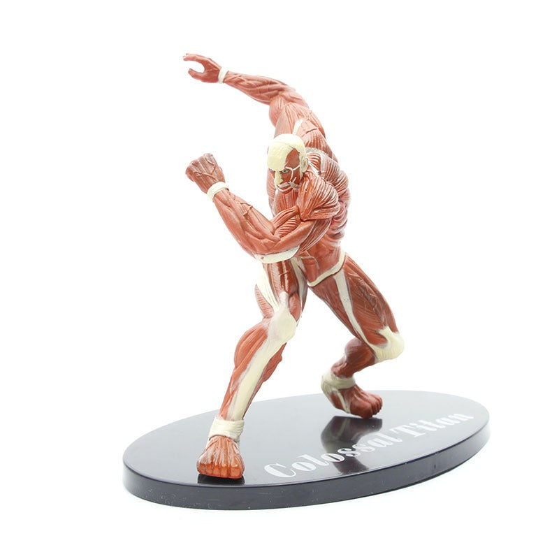 Colossal Titan Display Figure for Attack on Titan Fans