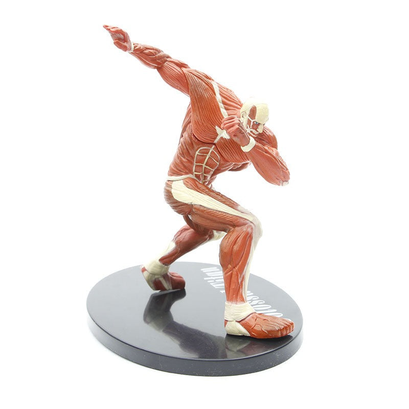Colossal Titan Display Figure for Attack on Titan Fans