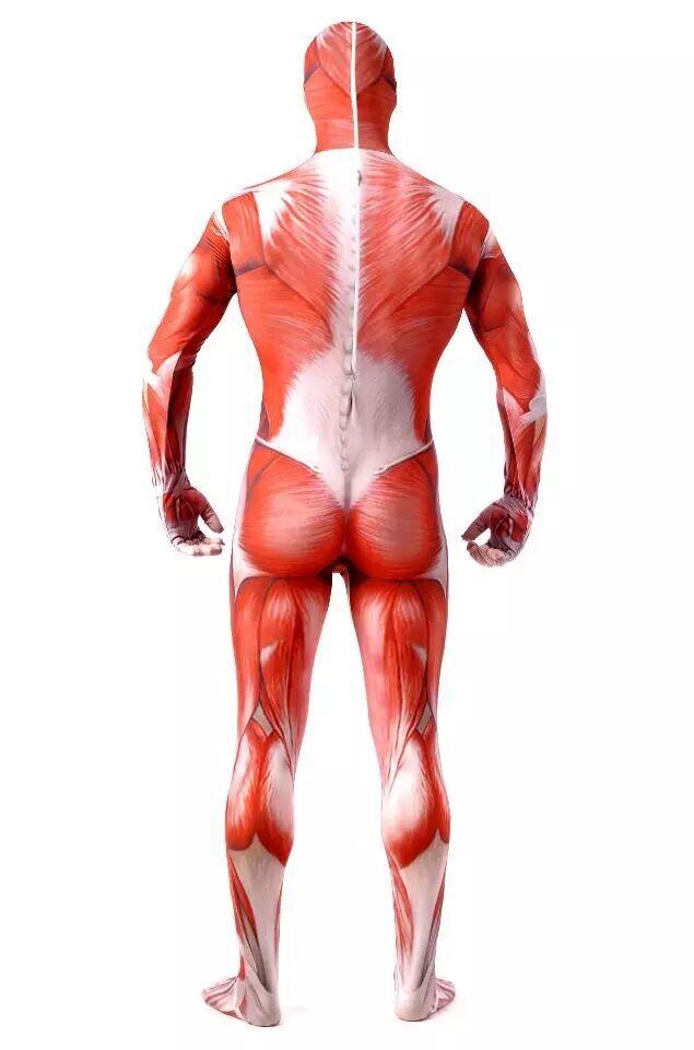 Attack on Titan Muscle Jumpsuit Costume for Impact