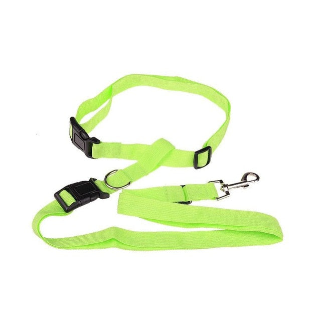 Hands-Free Dog Running Leash for Comfortable Jogging