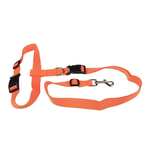 Hands-Free Dog Running Leash for Comfortable Jogging