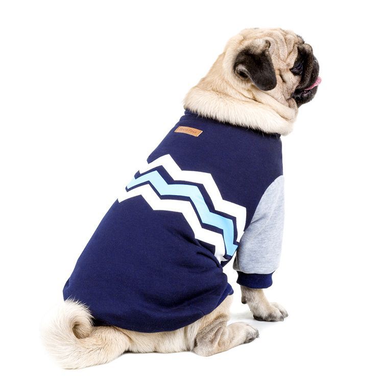 Dog Sweater for Warm, Stylish Autumn and Winter Walks