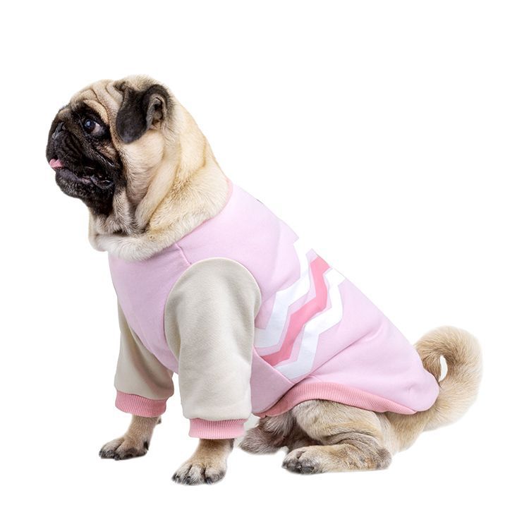 Dog Sweater for Warm, Stylish Autumn and Winter Walks