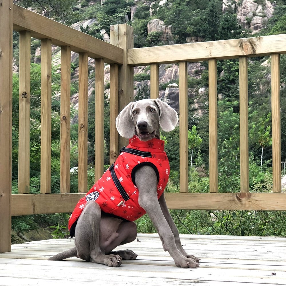 Large Dog Winter Coat – Waterproof Fleece Warmth