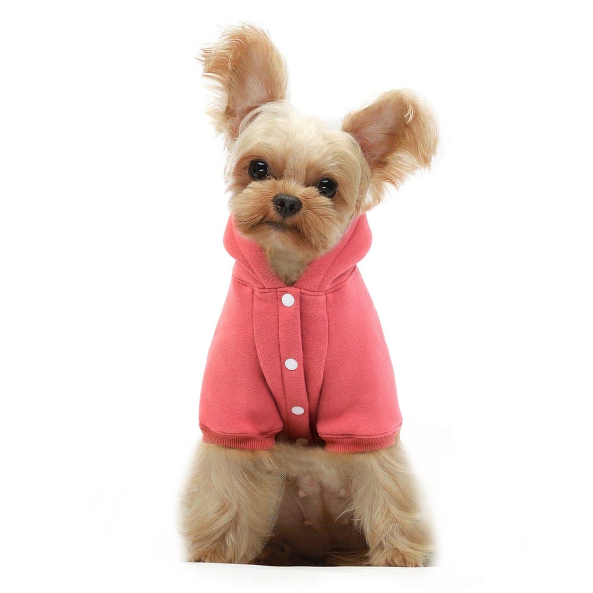 Hooded Fleece Dog Sweater for Cozy Winter Walks & Errands