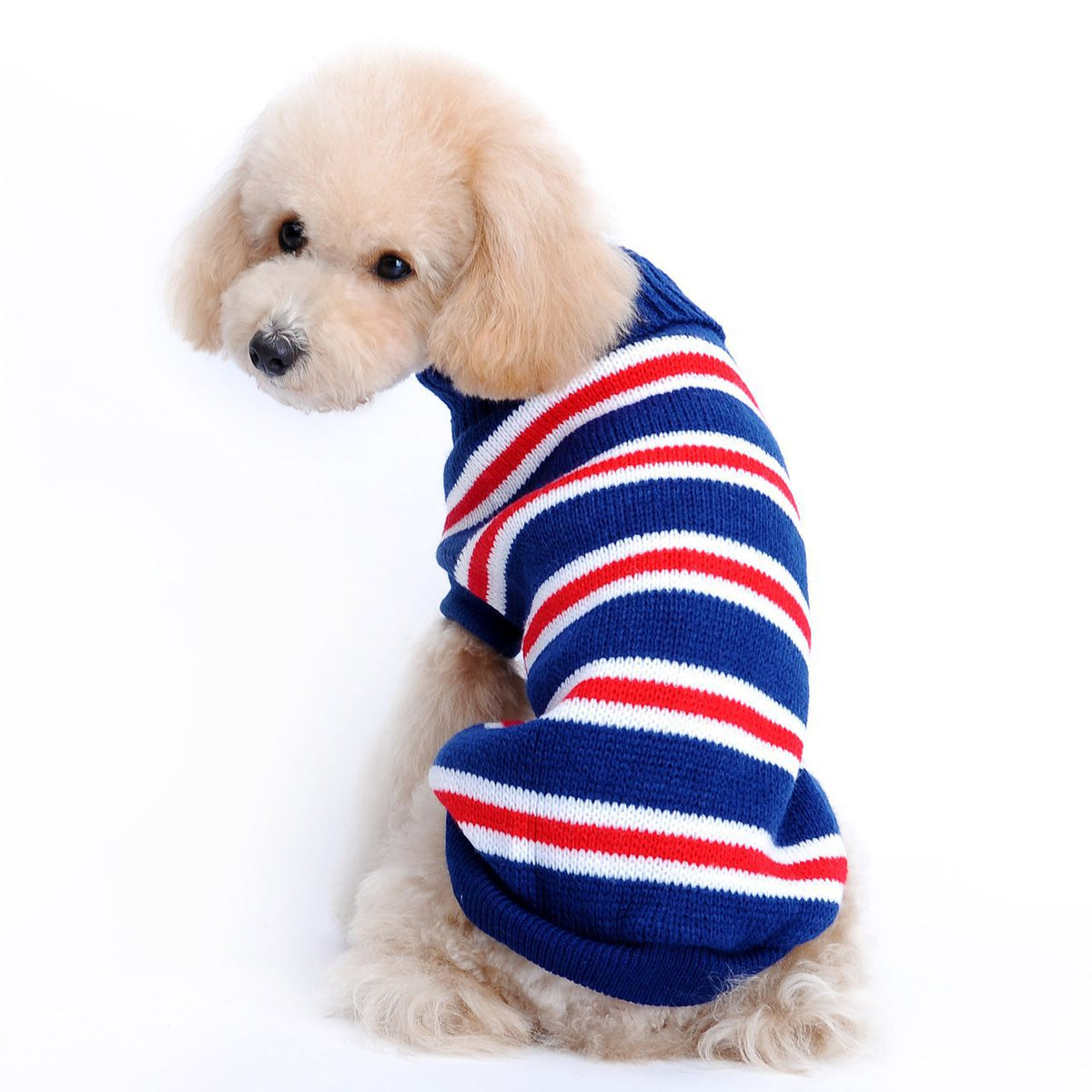 Striped Dog Sweater for Warm Autumn and Winter Walks