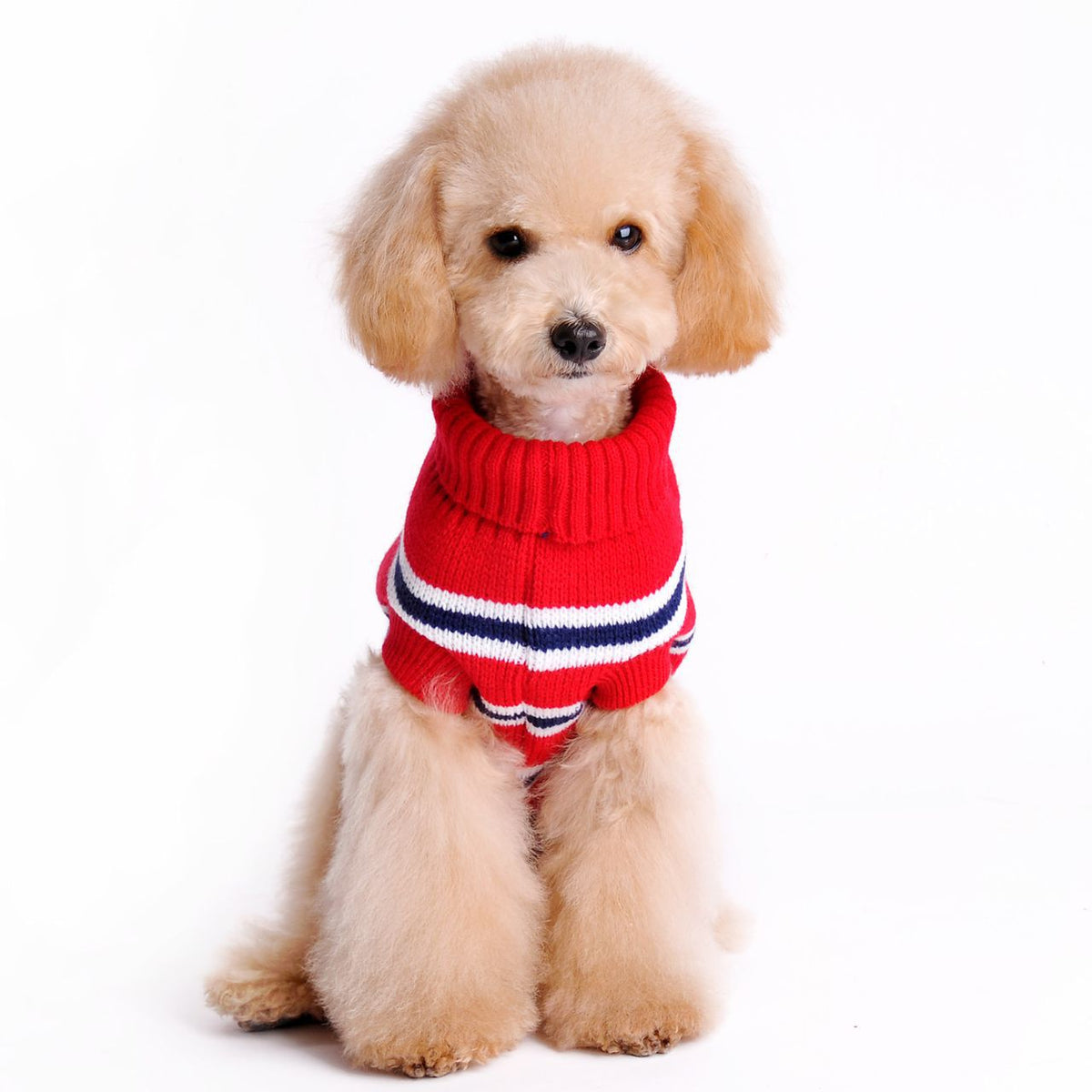 Striped Dog Sweater for Warm Autumn and Winter Walks