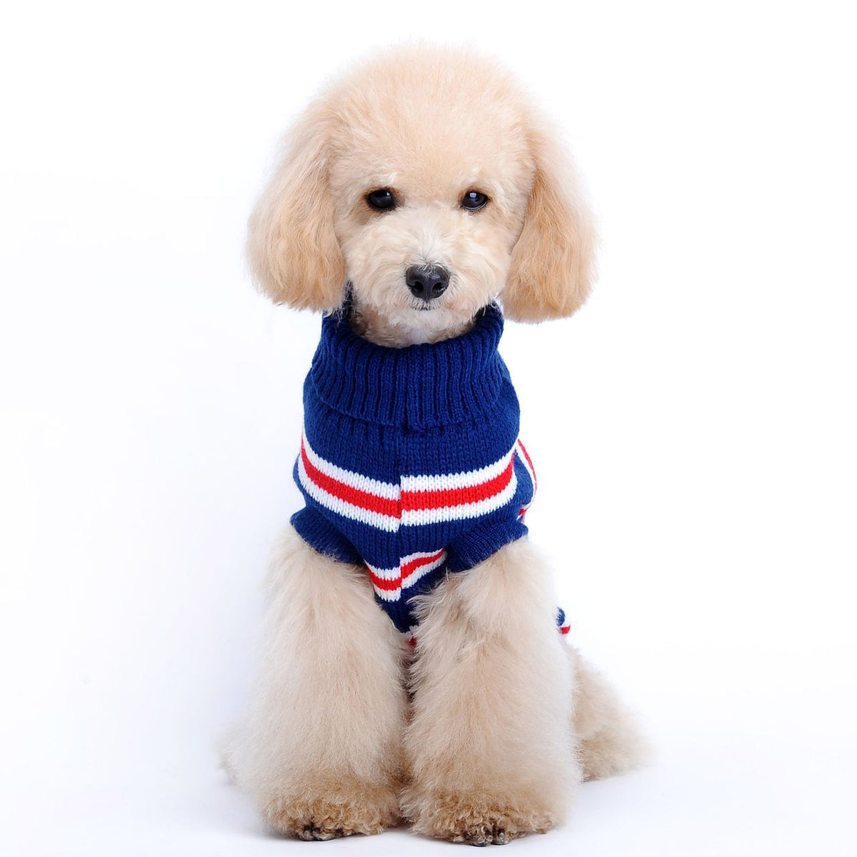 Striped Dog Sweater for Warm Autumn and Winter Walks
