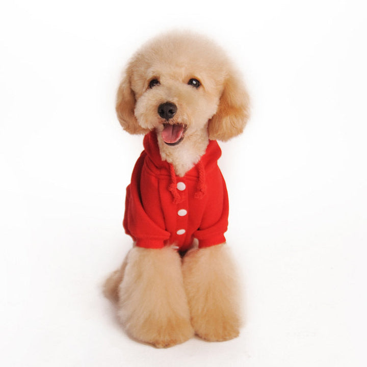 Small Dog Hooded Sweater Set for Cozy Autumn Walks
