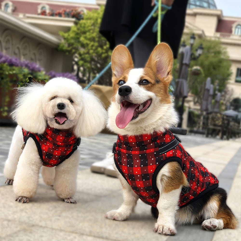 Dog Winter Coat for Warm, Festive Holiday Walks Outdoors