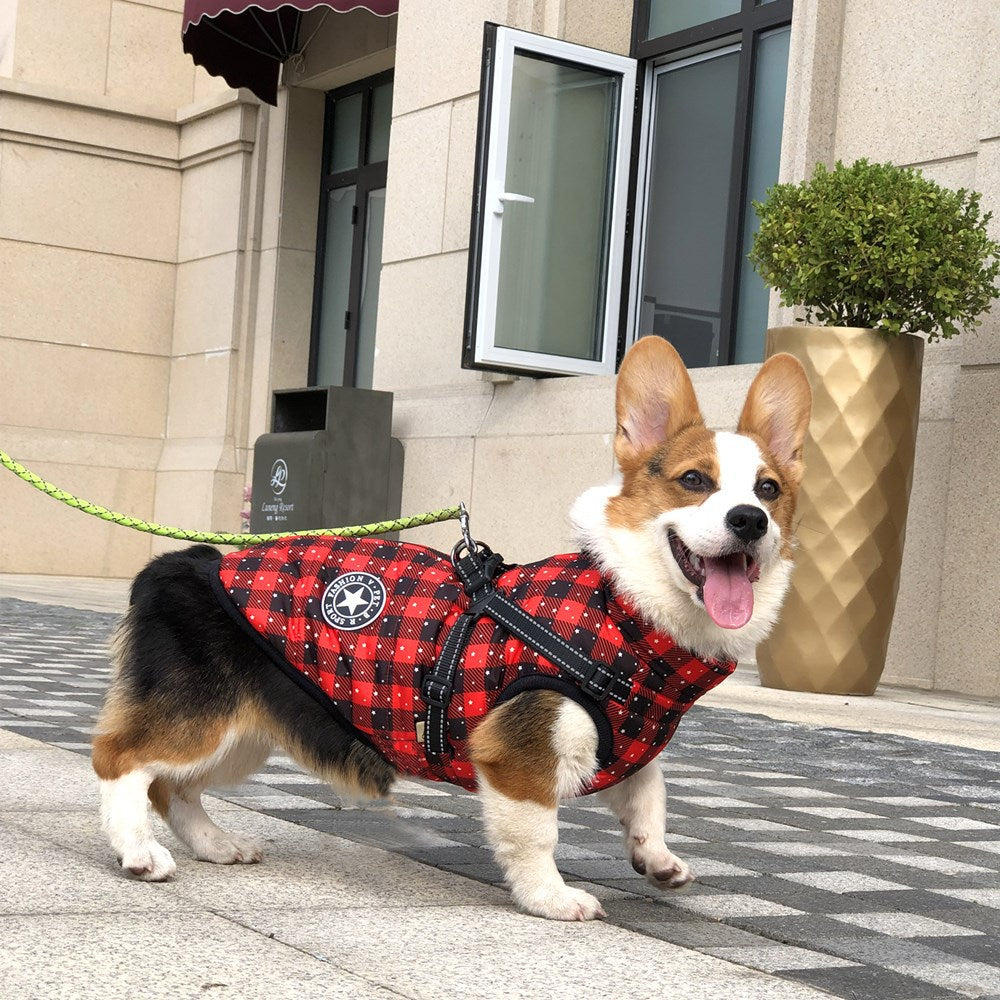 Dog Winter Coat for Warm, Festive Holiday Walks Outdoors