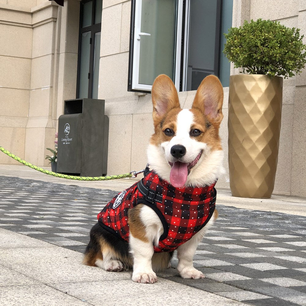 Dog Winter Coat for Warm, Festive Holiday Walks Outdoors