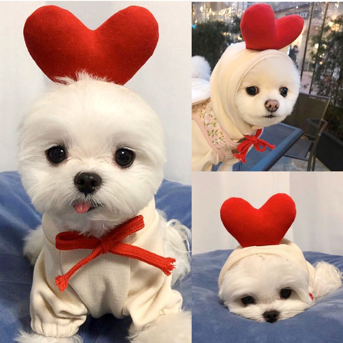 Small Pet Fleece Sweatshirt for Cozy Winter Walks Outdoors