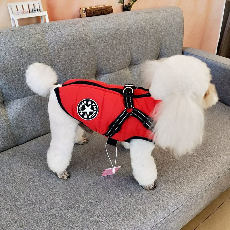 Padded Dog Coat With Integrated Harness For Winter Walks