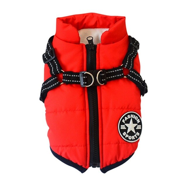 Padded Dog Coat With Integrated Harness For Winter Walks