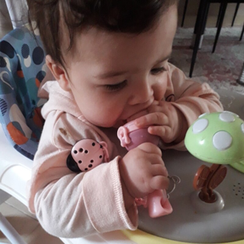 Baby Fruit Feeder Nibbler for Safer Fresh-Fruit Tasting