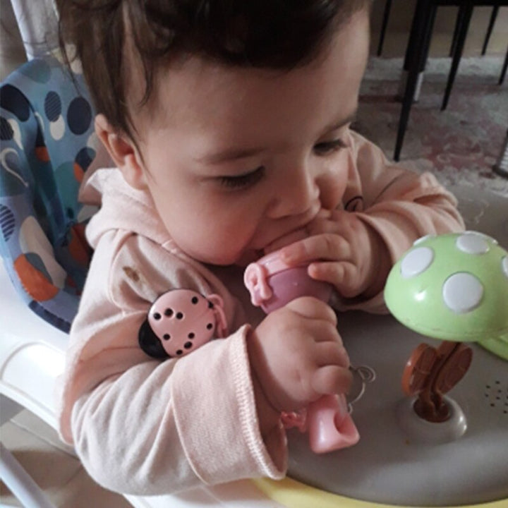 Baby Fruit Feeder Nibbler for Safer Fresh-Fruit Tasting