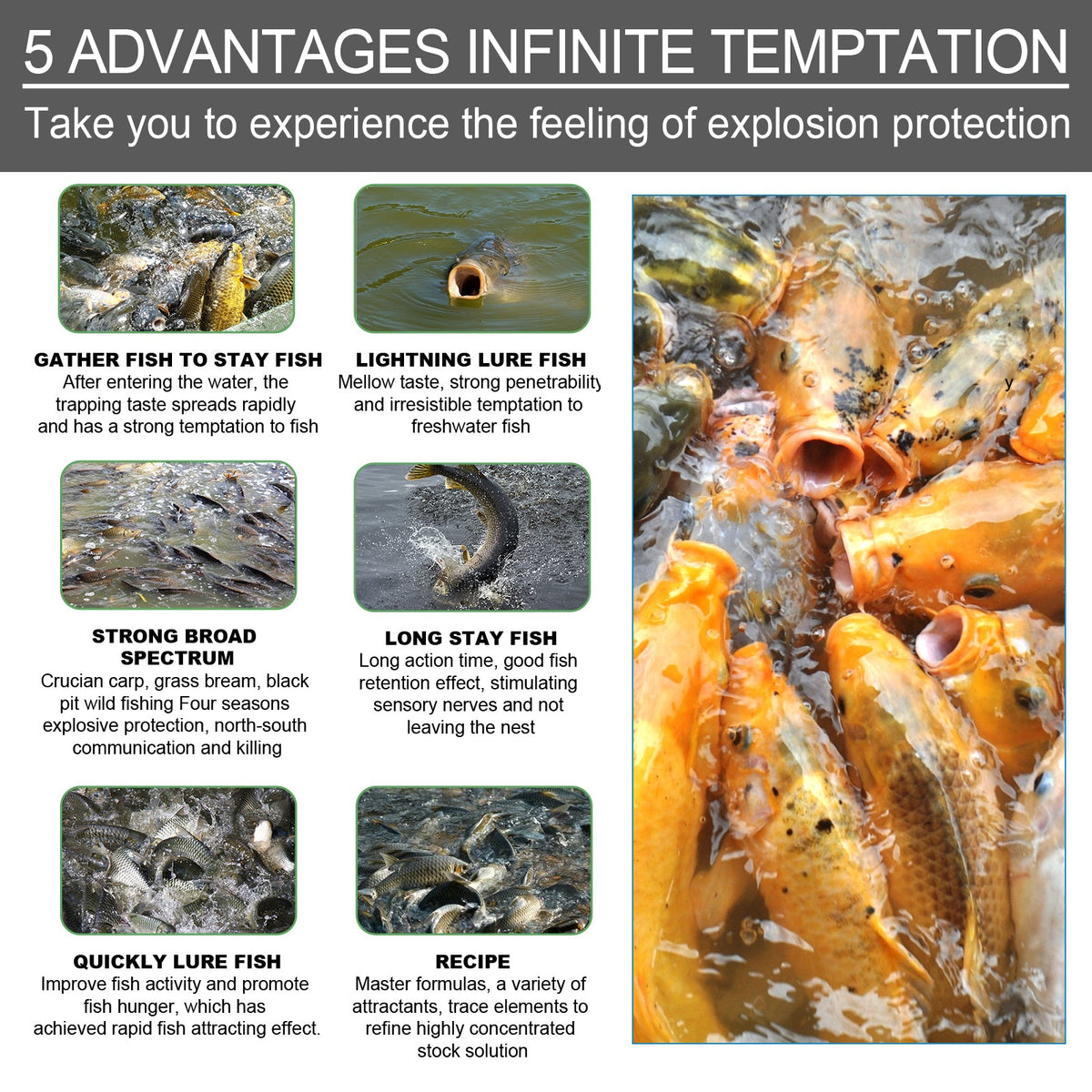 Fishing Bait Attractant Powder for Stronger Fish Scent